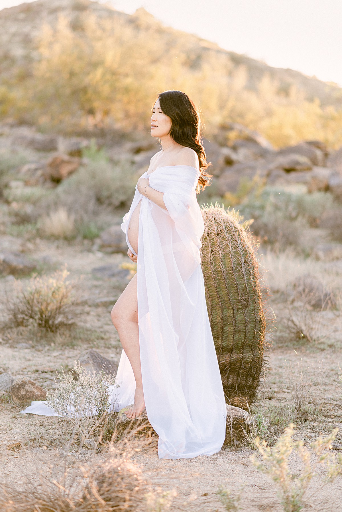 White chiffon fabric draped over pregnant woman with baby bump exposed. Standing next to cactus in Phoenix, AZ desert