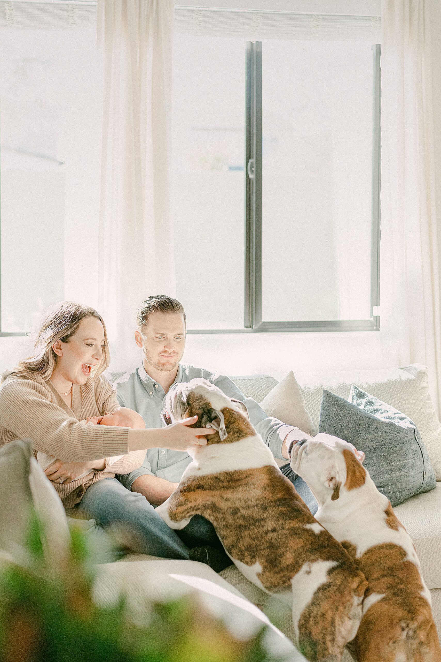 New parents holding baby while sitting on couch in front of large open window with natural light shining through. Parents are petting two excited English Bulldogs