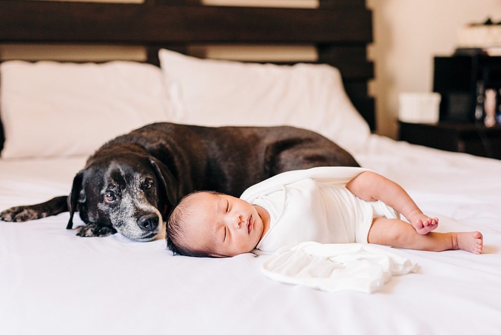 Newborn baby wrapped in white asleep next to dog.