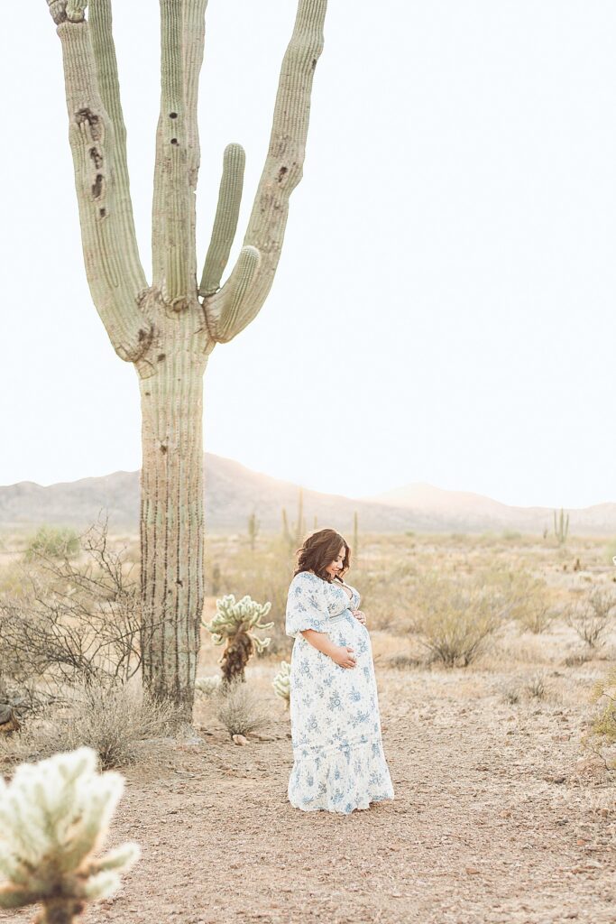 Solo maternity photo of mom gazing at baby bump while standing next to towering saguaro and mountains in the background at a gorgeous desert maternity photoshoot location
