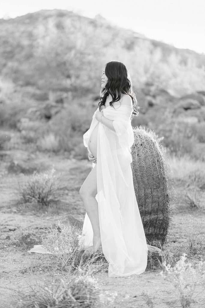 expecting mom in 3rd trimester is draped in white chiffon fabric and holding baby bump while next to barrel cactus