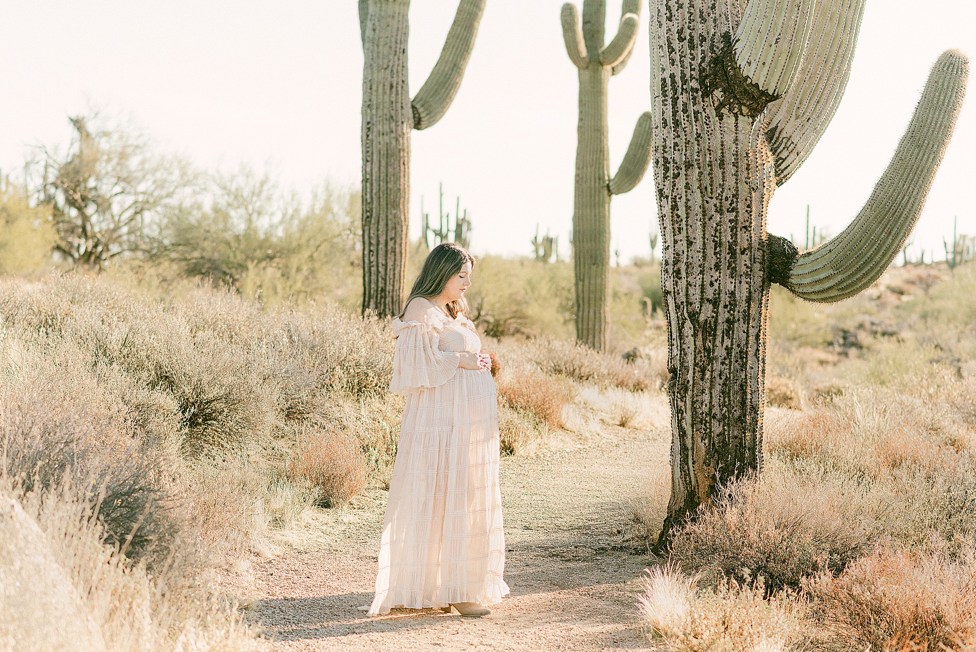 Expecting mom in blush chiffon dress standing in between iconic saguaro for desert maternity photos