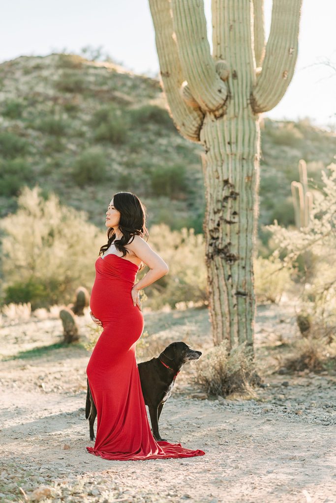 expecting mama in red dress posing with dog and standing next to saguaro cactus