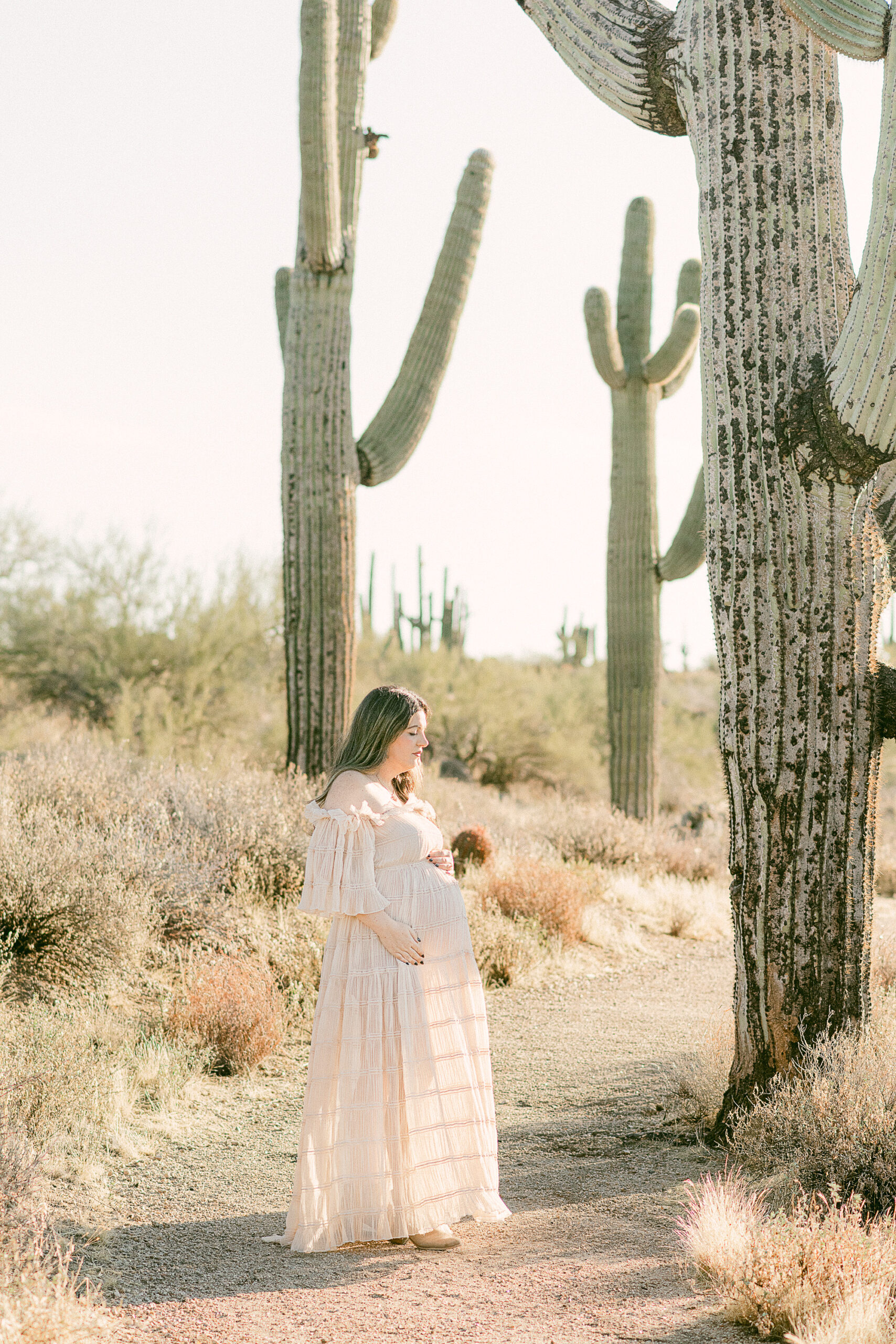 Mom holding baby bump surrounded by saguaro cactus for desert maternity session