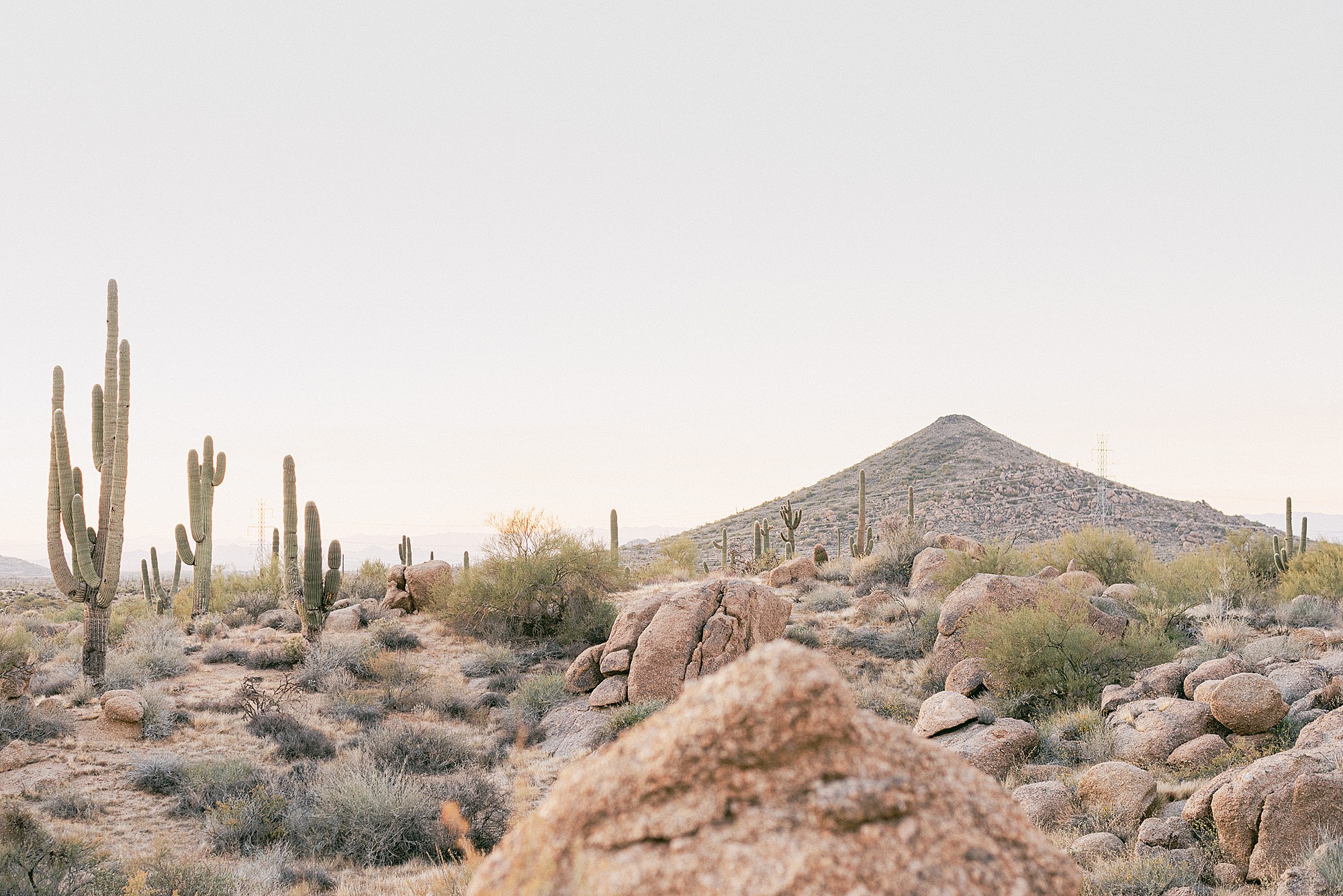 Desert landscape with saguaro cactus, boulder rocks, and mountain peak