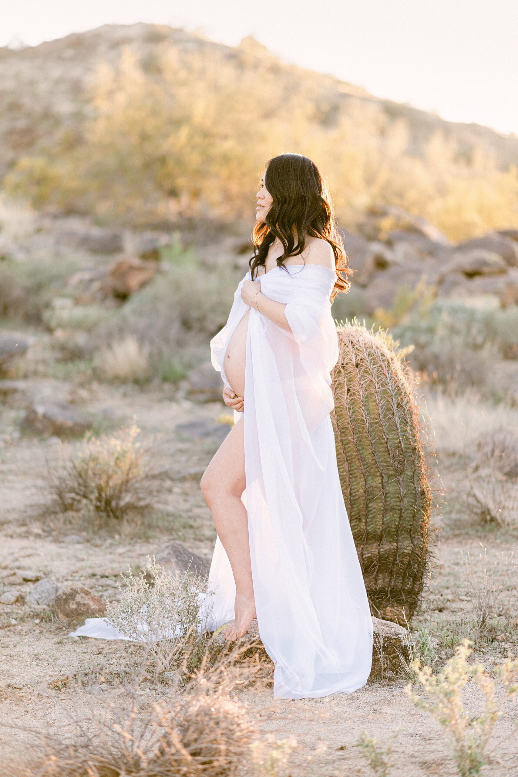 maternity boudoir with chiffon maternity draping fabric. Pregnant woman is standing next to cactus