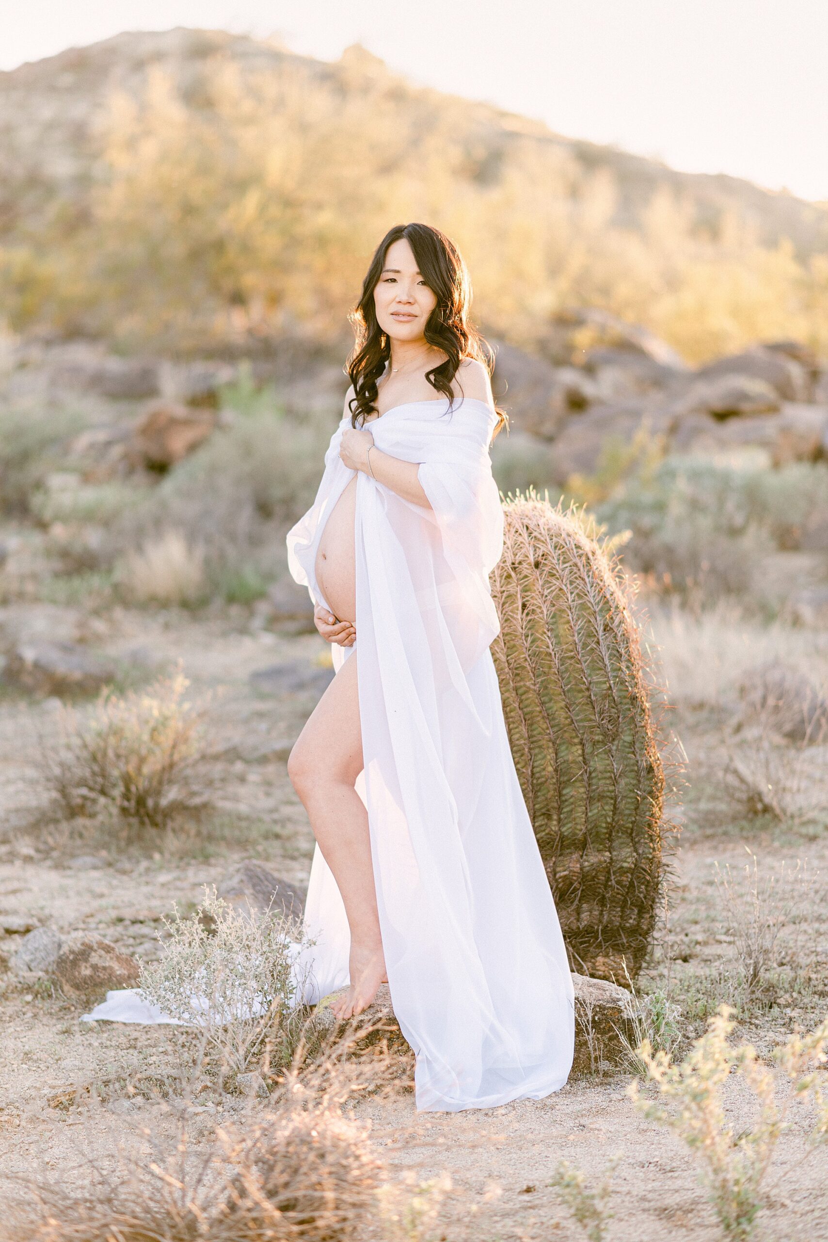 maternity boudoir with chiffon maternity draping fabric with baby bump showing. Pregnant woman is standing next to cactus