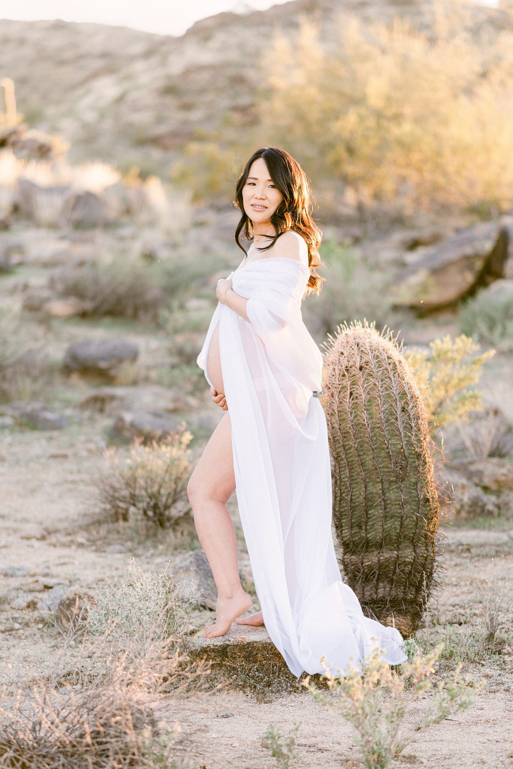 maternity boudoir photoshoot with mom draped in chiffon standing next to barrel cactus