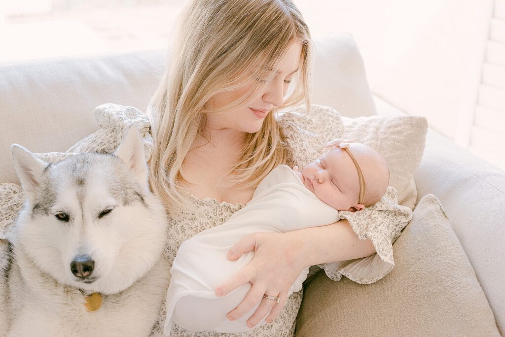 New mom holding newborn baby and snuggling siberian husky. They're sitting on couch for lifestyle newborn photography session