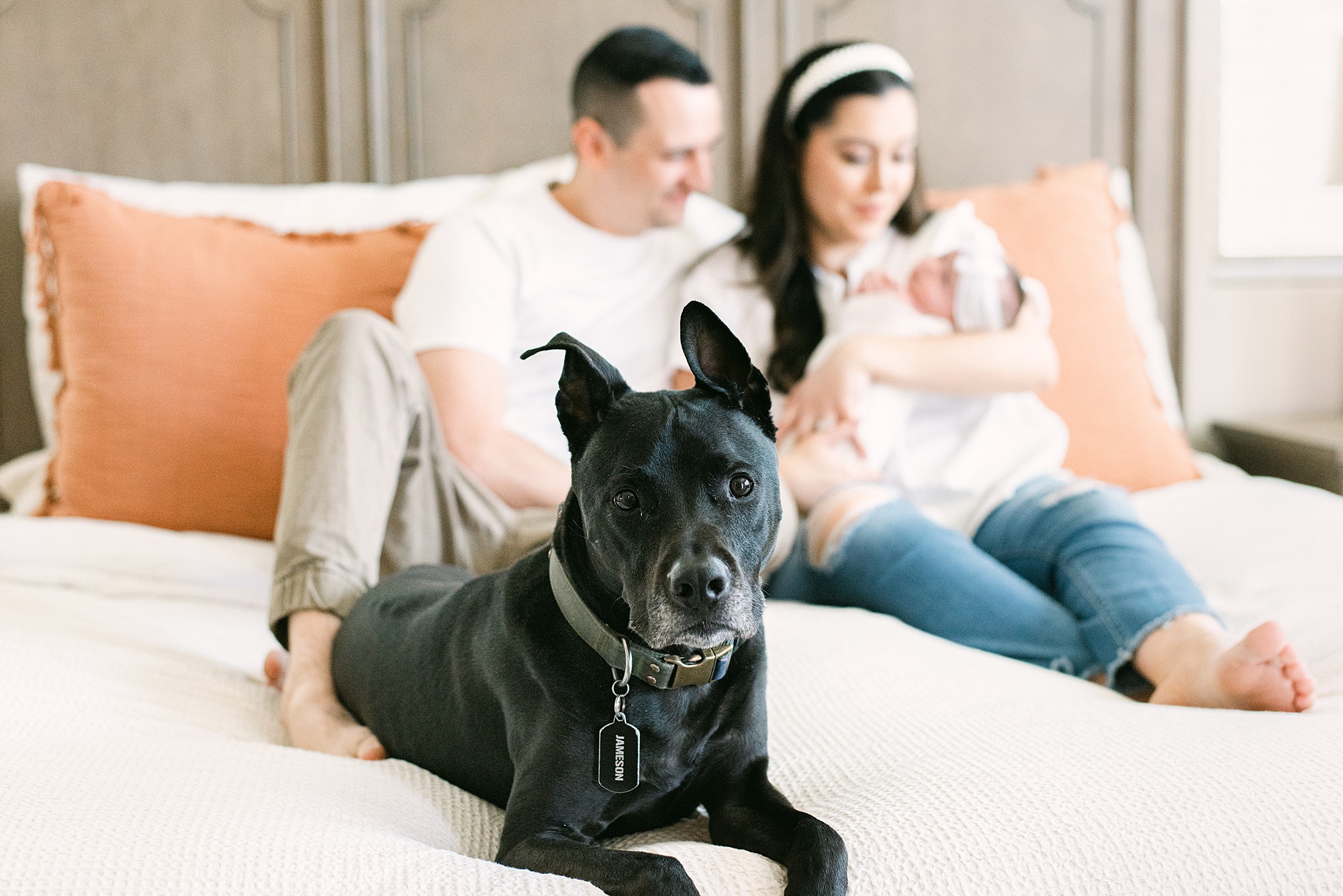 Black dog is at foot of bed looking at camera. New parents are out of focus behind dog holding newborn baby during in-home newborn photoshoot in Gilbert, AZ.