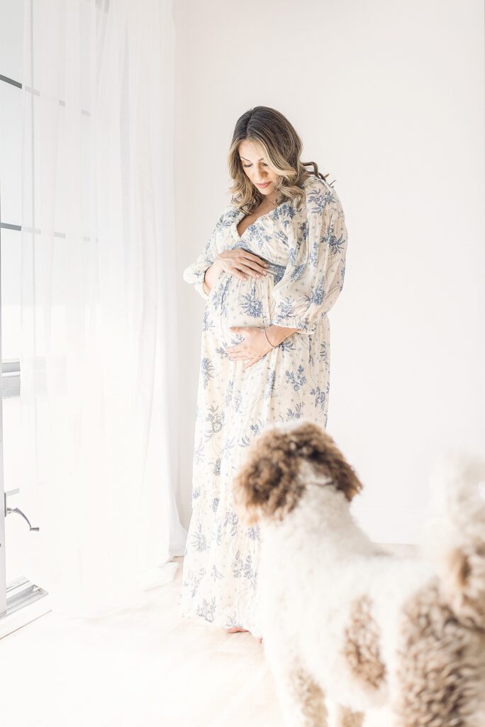 Bernadoodle is watching mom as she stands in natural-light studio while cradling baby bump