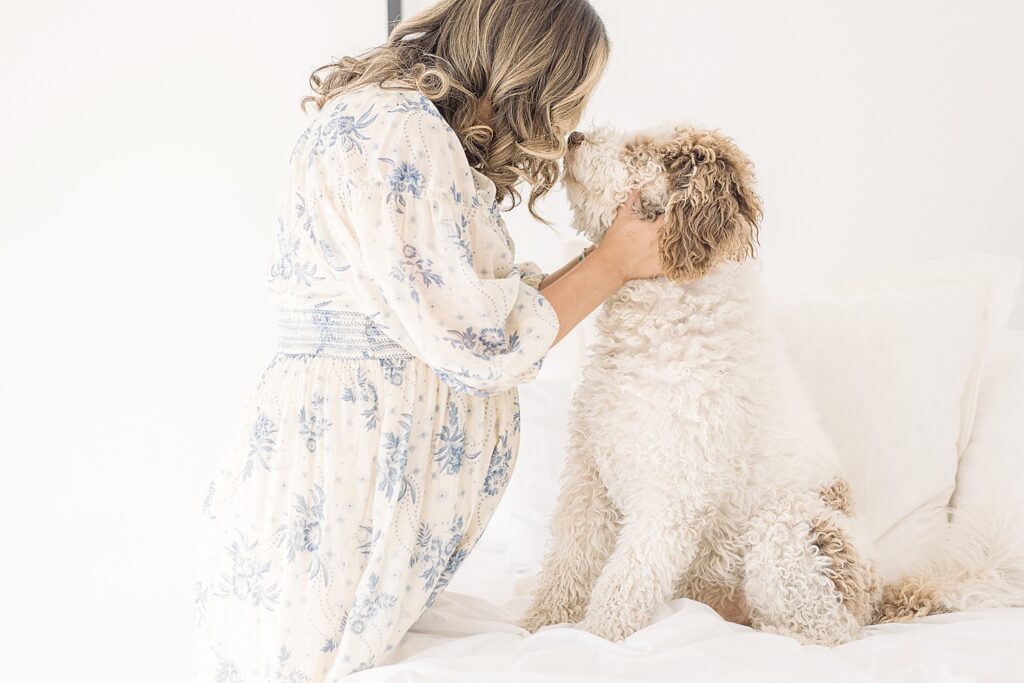 pregnant mom holding face of bernadoodle from side of a bed for studio maternity photos