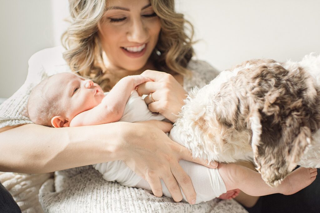 Mom holding newborn baby boy while bernadoodle sniffs baby.