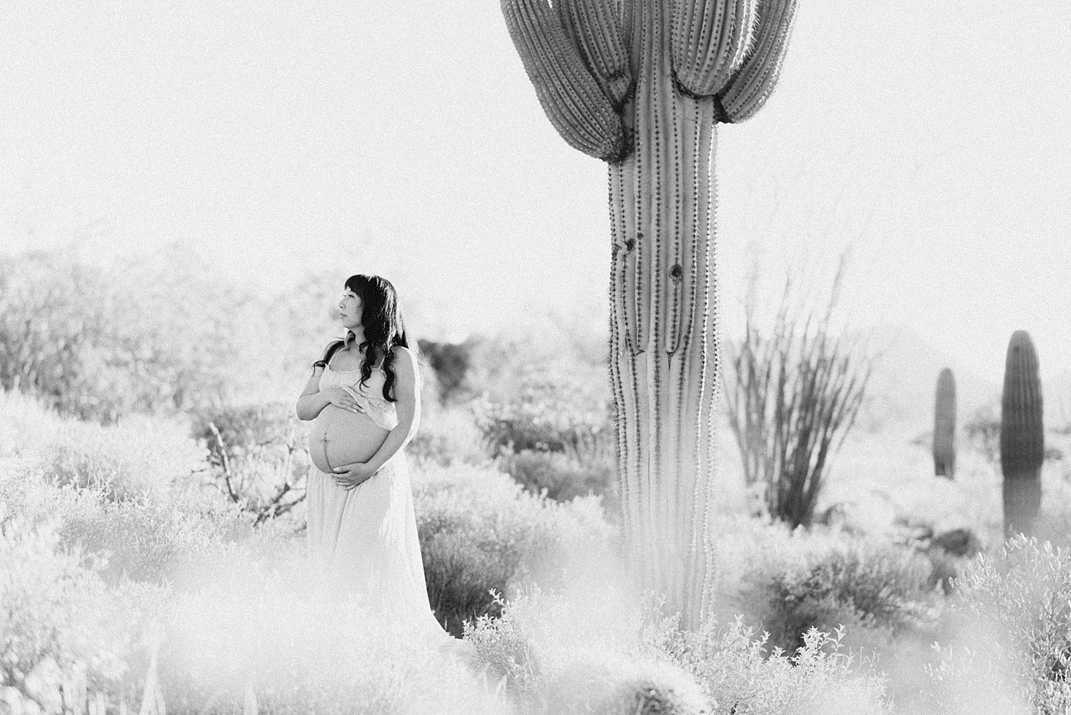 Ocotillo maternity photographer captures expecting mom in lush desert setting.