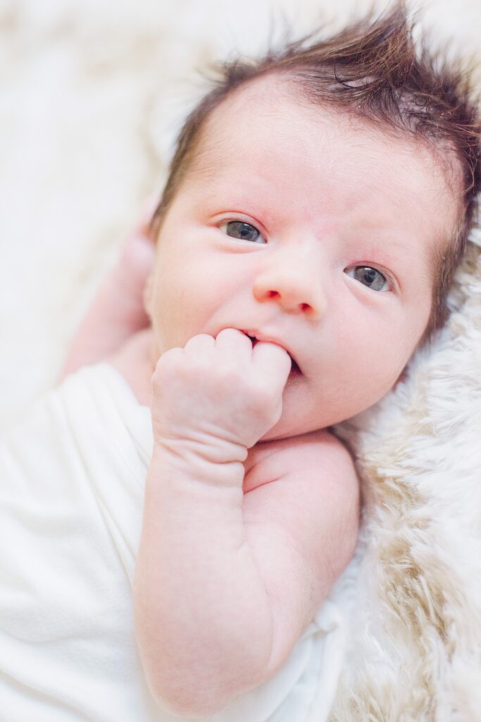 What if baby doesn't sleep during newborn photos? Awake newborn looking directly to camera while  swaddled and laying on shaggy rug.
